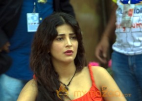 CCL4 Mumbai Heroes Vs Chennai Rhinos Photos photo 32