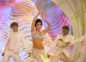 Celebrities At JFW-Diwas photo 22