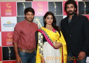 Celebritites At Announce Siima Awards 2013 photo 2