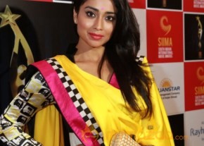 Celebritites At Announce Siima Awards 2013 photo 7