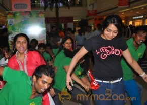 Celebs At 11th CIF Festival Launch Photos photo 30