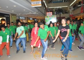 Celebs At 11th CIF Festival Launch Photos photo 2