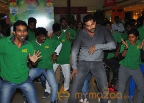 Celebs At 11th CIF Festival Launch Photos photo 25