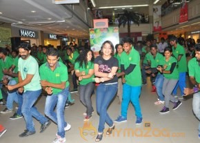 Celebs At 11th CIF Festival Launch Photos photo 35