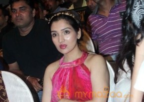 Celebs at 1st Bright Awards 2012 Photo Gallery photo 13