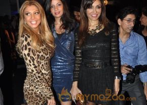 Celebs at Grey Goose Party Photos photo 12
