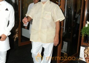 Celebs Raja Ravindra Daughter Wedding Photos photo 31