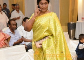 Celebs Raja Ravindra Daughter Wedding Photos photo 142