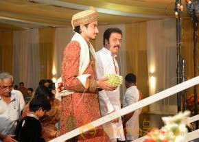 Celebs Raja Ravindra Daughter Wedding Photos photo 169
