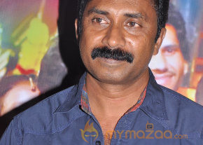 Chandamama Movie Audio Launch Gallery photo 20