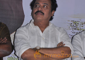 Chandamama Movie Audio Launch Gallery photo 13