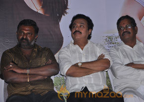 Chandamama Movie Audio Launch Gallery photo 24