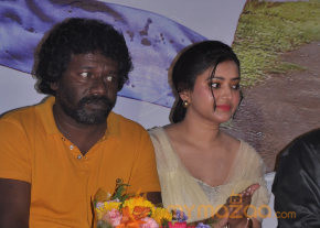 Chandamama Movie Audio Launch Gallery photo 10