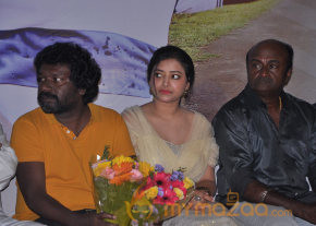 Chandamama Movie Audio Launch Gallery photo 19