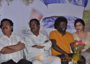 Chandamama Movie Audio Launch Gallery photo 4