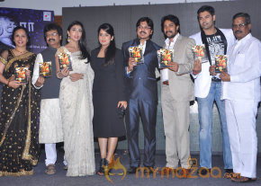 Chandra Movie Audio Launch Gallery  photo 28