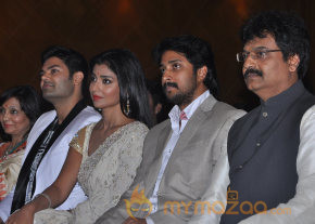 Chandra Movie Audio Launch Gallery  photo 51