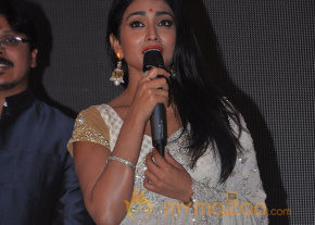 Chandra Movie Audio Launch Gallery  photo 3