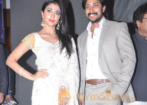 Chandra Movie Audio Launch Gallery  photo 11