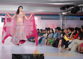 Chennai International Film Festival photo 18