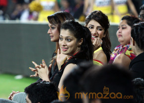 Chennai Rhinos Vs Bengal Tigers CCL 3 Match Gallery  photo 90