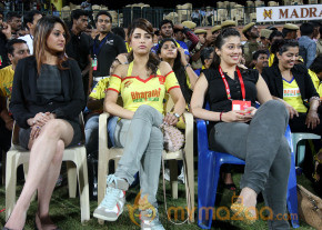 Chennai Rhinos Vs Bengal Tigers CCL 3 Match Gallery  photo 97