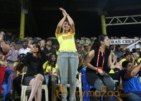 Chennai Rhinos Vs Bengal Tigers CCL 3 Match Gallery  photo 38