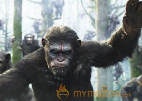 Dawn of the Planet of the Apes Movie Stills photo 5