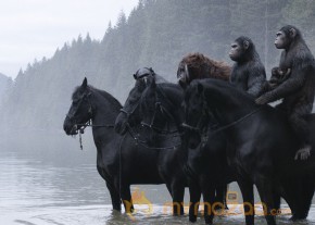 Dawn of the Planet of the Apes Movie Stills
