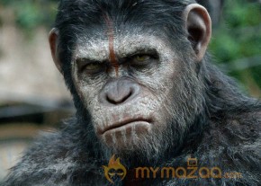 Dawn of the Planet of the Apes Movie Stills photo 3