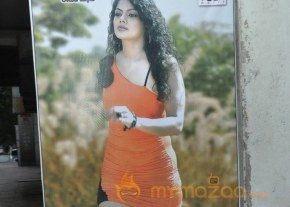 Deal Movie Audio Launch Photos photo 32