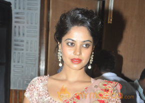 Desingu Raja Movie Press Meet Event  photo 51