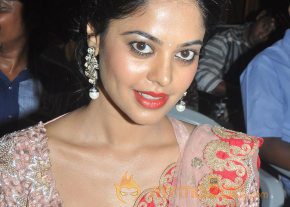 Desingu Raja Movie Press Meet Event  photo 36