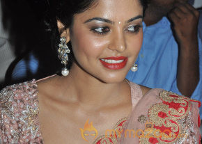 Desingu Raja Movie Press Meet Event  photo 35