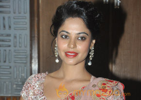 Desingu Raja Movie Press Meet Event  photo 41