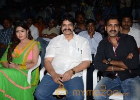 Eduleni Alexander Audio launch Photos photo 2