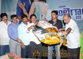 Eduleni Alexander Audio launch Photos photo 59