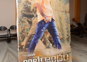 Eduleni Alexander Audio launch Photos photo 82