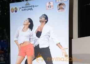 Eduleni Alexander Audio launch Photos photo 48