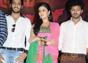 Ettuthikkum Madhayaanai Audio Launch photo 69