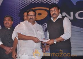 FNCC New Year 2014 Celebrations Stills photo 225