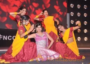 FNCC New Year 2014 Celebrations Stills photo 72