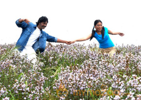 Jabaali movie stills gallery photo 4