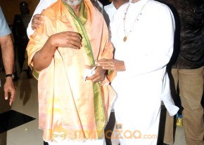 Kalaipuli Thanu Son Wedding stills photo 14