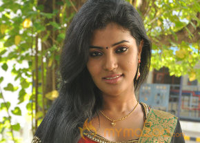 Karisalpattum Gaathinagarum Movie Audio Launch  photo 4