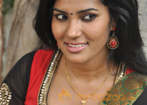 Karisalpattum Gaathinagarum Movie Audio Launch  photo 20