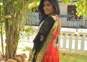 Karisalpattum Gaathinagarum Movie Audio Launch  photo 15
