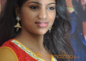 Kerala Nattu Pengaludan Movie Audio Launch Gallery  photo 3