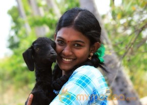 Kidari Poosari Magudi Movie Stills photo 2