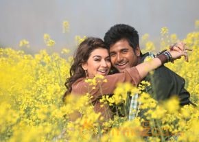 Maan Karate Movie Photos photo 2